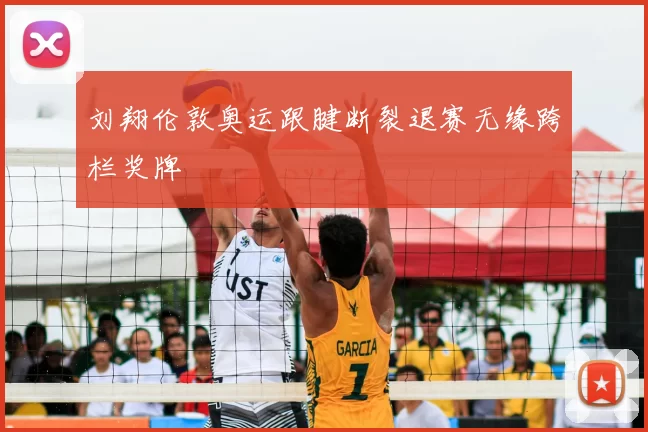 刘翔伦敦奥运跟腱断裂退赛无缘跨栏奖牌