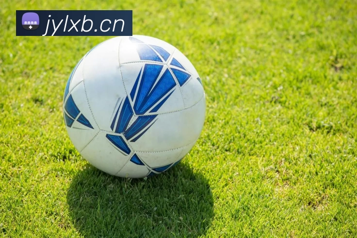 J9九游 - 体验非凡, 共赢每一刻平台生态图